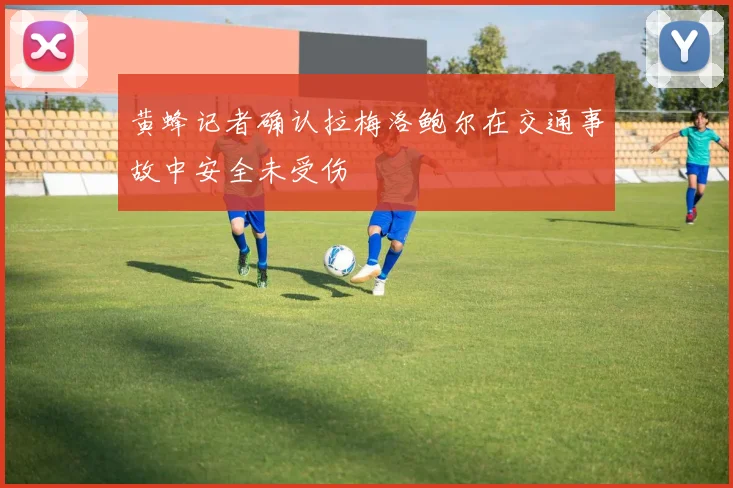 黄蜂记者确认拉梅洛鲍尔在交通事故中安全未受伤